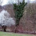 Erzsébet Park Hotel Parádfürdő - Környék