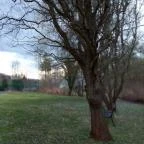 Erzsébet Park Hotel Parádfürdő - Medence/kert