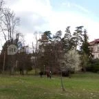 Erzsébet Park Hotel Parádfürdő - Medence/kert