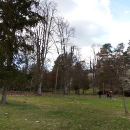 Erzsébet Park Hotel, Parádfürdő - Medence/kert