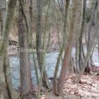 Erzsébet Park Hotel Parádfürdő - Környék