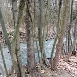 Erzsébet Park Hotel, Parádfürdő - Környék