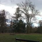 Erzsébet Park Hotel Parádfürdő - Medence/kert