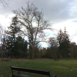 Erzsébet Park Hotel, Parádfürdő - Medence/kert