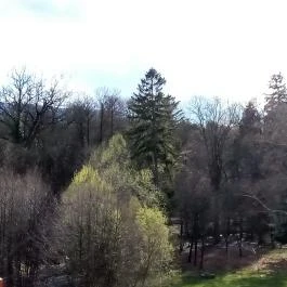 Erzsébet Park Hotel, Parádfürdő - Medence/kert