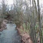 Erzsébet Park Hotel Parádfürdő - Környék