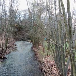 Erzsébet Park Hotel, Parádfürdő - Környék