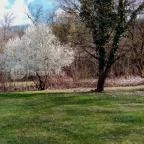 Erzsébet Park Hotel Parádfürdő - Medence/kert