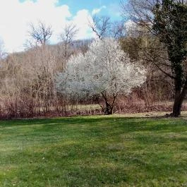 Erzsébet Park Hotel, Parádfürdő - Medence/kert