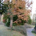 Fagus Hotel Sopron - Egyéb