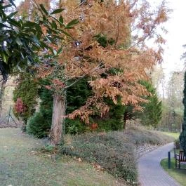 Fagus Hotel, Sopron - Egyéb