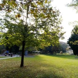 Fagus Hotel, Sopron - Egyéb