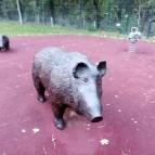 Fagus Hotel Sopron - Egyéb