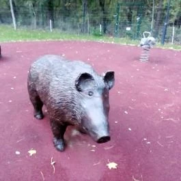 Fagus Hotel, Sopron - Egyéb