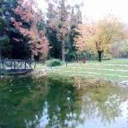 Fagus Hotel Sopron - Egyéb