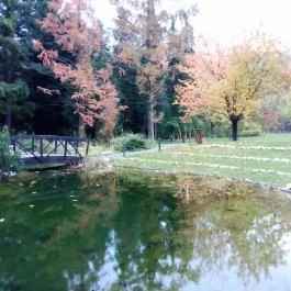 Fagus Hotel, Sopron - Egyéb