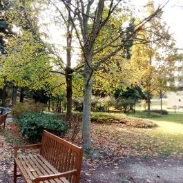 Fagus Hotel, Sopron - Egyéb