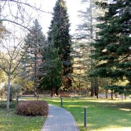 Fagus Hotel, Sopron - Egyéb