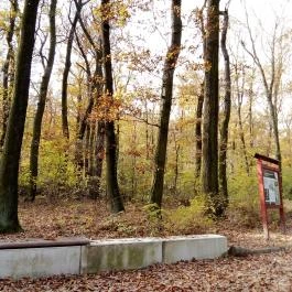 Lővérek, Sopron - Egyéb