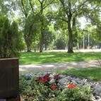 Fekete Sas Kávéház Hódmezővásárhely - Egyéb