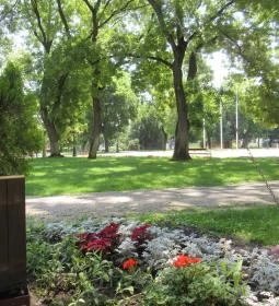 Fekete Sas Kávéház