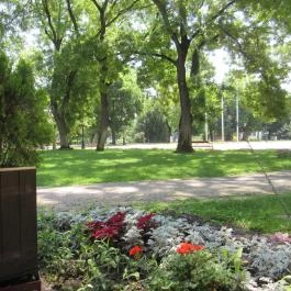 Fekete Sas Kávéház Hódmezővásárhely - Egyéb