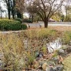 Fenyőharaszt Kastélyszálló étterme Verseg - Egyéb