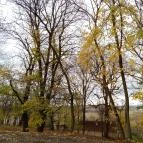 Fenyőharaszt Kastélyszálló étterme Verseg - Egyéb