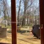 Főnix Wellness Resort Nógrádgárdony - Külső kép