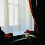 Főnix Wellness Resort Nógrádgárdony - Szobák