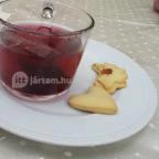 Főnix Wellness Resort Nógrádgárdony - Vendéglátás