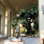 Főnix Wellness Resort Nógrádgárdony - Vendéglátás