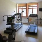 Főnix Wellness Resort Nógrádgárdony - Szórakozás/Sport