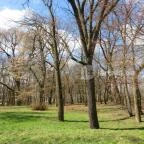 Főnix Wellness Resort Nógrádgárdony - Környék