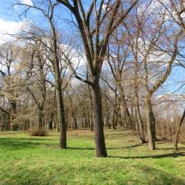 F?nix Wellness Resort, Nógrádgárdony - Környék