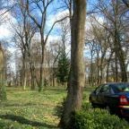 Főnix Wellness Resort Nógrádgárdony - Medence/kert