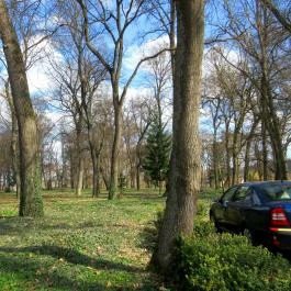 F?nix Wellness Resort, Nógrádgárdony - Medence/kert