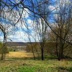 Főnix Wellness Resort Nógrádgárdony - Medence/kert