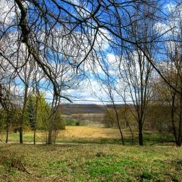 F?nix Wellness Resort, Nógrádgárdony - Medence/kert