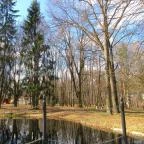 Főnix Wellness Resort Nógrádgárdony - Medence/kert