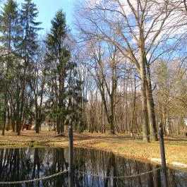 F?nix Wellness Resort, Nógrádgárdony - Medence/kert