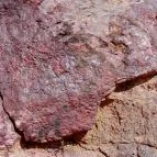 Gánti Bauxitföldtani Park Gánt - Egyéb