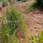 Gánti Bauxitföldtani Park Gánt - Egyéb