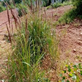 Gánti Bauxitföldtani Park, Gánt - Egyéb