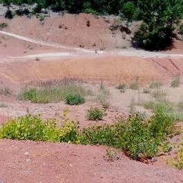 Gánti Bauxitföldtani Park, Gánt - Egyéb