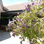 Gánton Kóstoltam Gánt - Egyéb