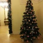 Kastélykávézó Gödöllő - Belső