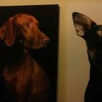 Gödöllői Királyi Kastély Gödöllő - 