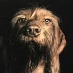 Gödöllői Királyi Kastély Gödöllő - 