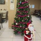 Gombai Cukrászda Veresegyház - Egyéb